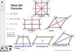 Auf den folgenden wird das haus der vierecke gezeigt, sowie die eigenschaften der vierecke nach diagonalen, seiten/winkel und symmetrie gegliedert. Mathematik Klasse 7 - Webseite der Ernst-Haeckel-Schule