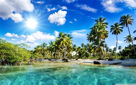 Tropics Palm Trees Sun Beach Wallpaper 2560x1600