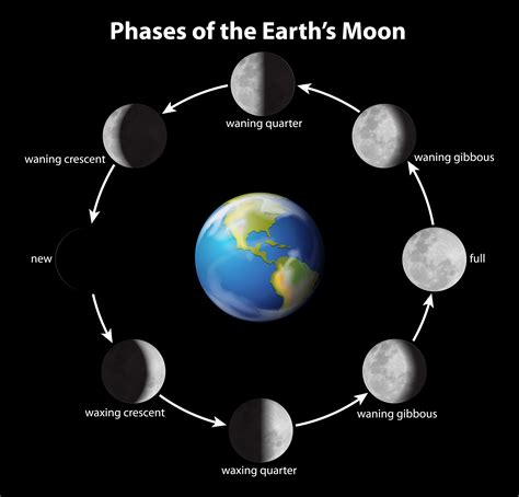 Phases Of The Moon 606225 Vector Art At Vecteezy
