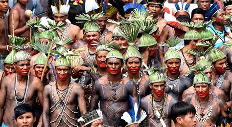 Povos indígenas no brasil) or indigenous brazilians (portuguese: Brazil: Indigenous people set up protest camp outside ...
