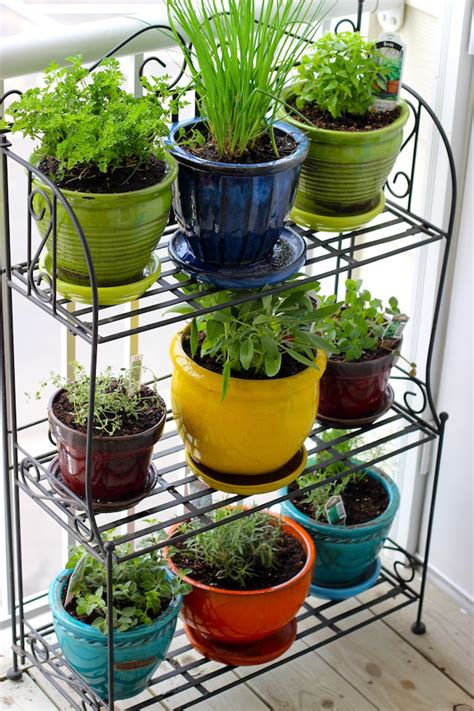 Grow your Very Own Container Garden | My Decorative