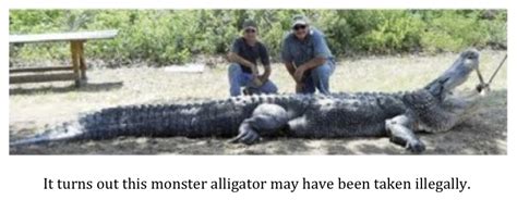 Texas Cryptid Hunter Monster Trinity River Gator Allegedly Killed