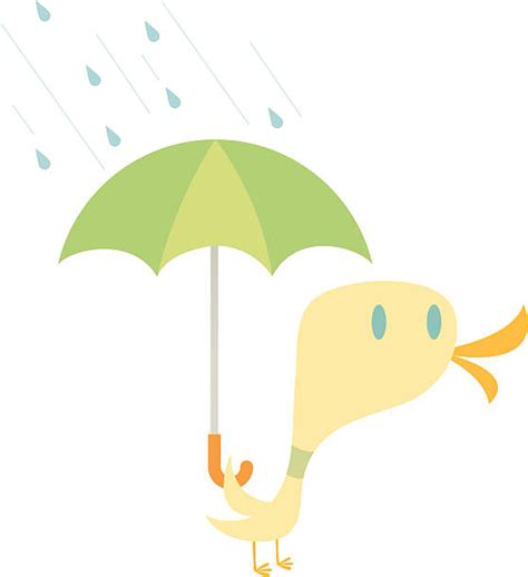 160 Cartoon Of A Duck With Umbrella Illustrations Royalty Free Vector
