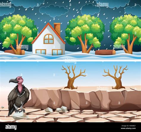 Two Disaster Scene With Flood And Drought Illustration Stock Vector