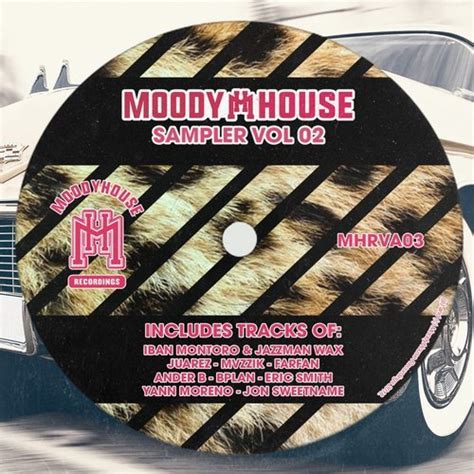 Va Moodyhouse Sampler Vol 02 Moodyhouse Recordings Flac 320kbpshousenet