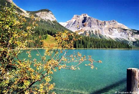 Photo Of Emerald Lake And Its Pristine Waters