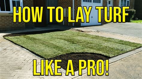 How To Lay Turf Beginners Diy Guide Youtube