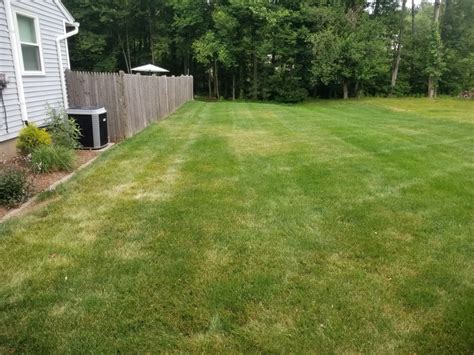 This forum is meant for the discussion of lawn and garden tractors and riding mowers. Help identifying problem in Kentucky Bluegrass- CT ...