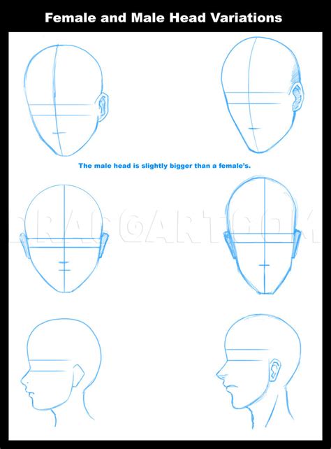 How To Draw Manga Heads Step By Step Drawing Guide By Dawn Dragoart