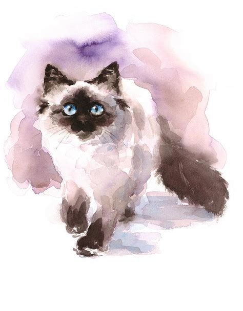 Ragdoll Cat Painting by Maria Stezhko | Fine Art America