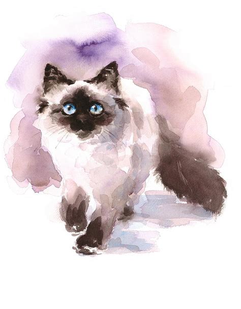 Ragdoll Cat Painting At Explore Collection Of