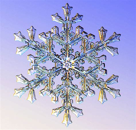 Snowflakes No Two Alike Snowflake Shapes The Old Farmers Almanac