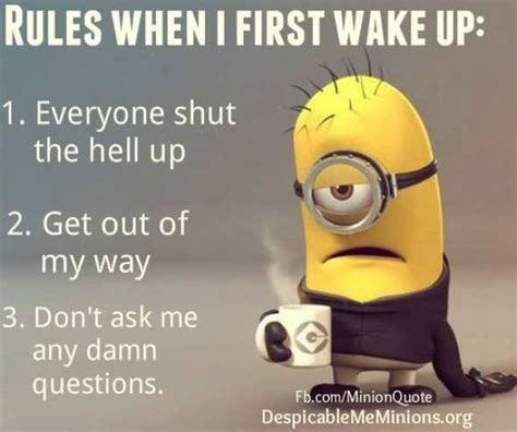 Pin On Minion Quotes