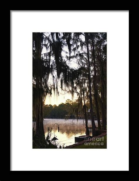 Foggy Sunrise Framed Print By Andrea Anderegg Foggy Fine Art America