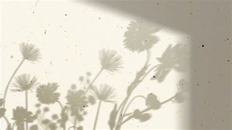 Flower Shadow Desktop Wallpaper Aesthetic Premium Photo Rawpixel