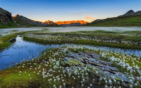 Freshwater Marsh Swissalps Fluffygrass In Kanton Tessin Landscape Wallpaper 4k Ultra Hd Tv
