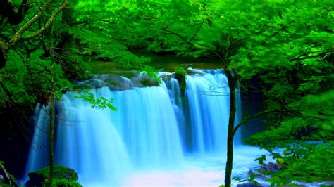 Forest River Falls Desktop Background Wallpaper 2560x1600