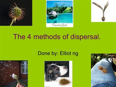 The 4 Methodsofdispersal 1 Elliot Ng
