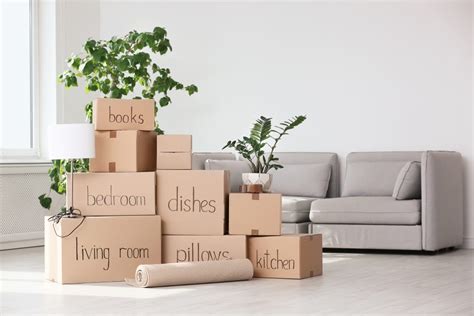 55 Brilliant And Fuss Free Moving Ideas That Will Help You Storables