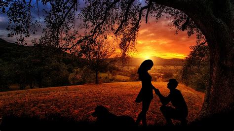 Hd Wallpaper Sunset Outdoors Dawn Nature Dusk Silhouette Couple