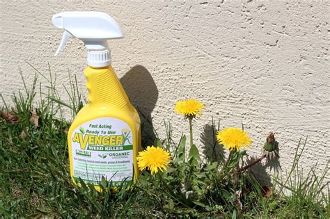 Avenger Organic Weed Killer Biodegradable Non Toxic Concentrate