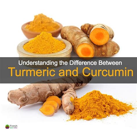 Understanding The Difference Between Turmeric And Curcumin FBM