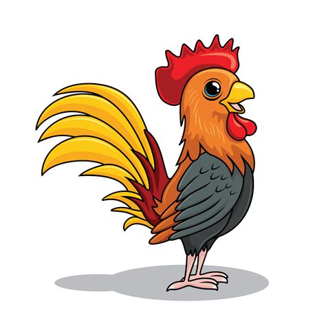 Rooster Illustrations Chicken Isolated Cartoon Vector 4296629 Vector