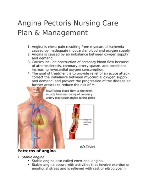 Angina Pectoris Nursing Care Plan Angina Pectoris Nursing Care Plan
