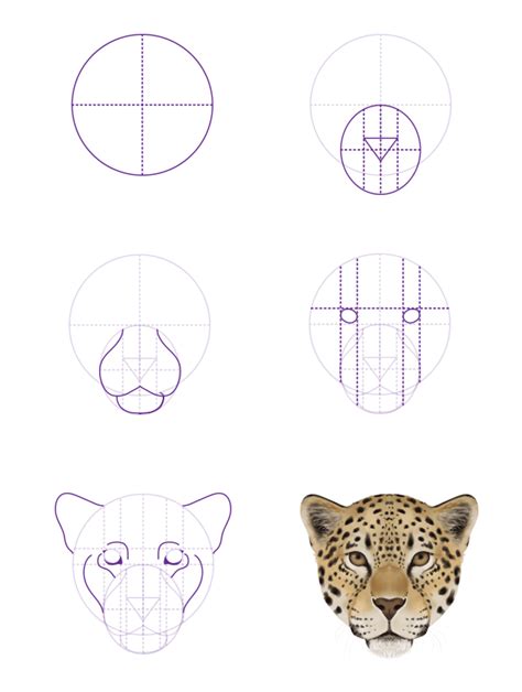 The 25+ best We draw animals ideas on Pinterest | How to ... They come in every size and shape, so everyone can find their favorite cheetah running study by wantedgreen on deviantart.