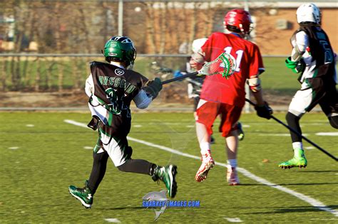 TIM SHARKEY: Blog