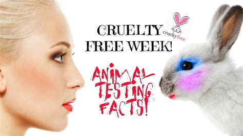 Petition · Animal Testing In Cosmetics Should Be Illegal Australia