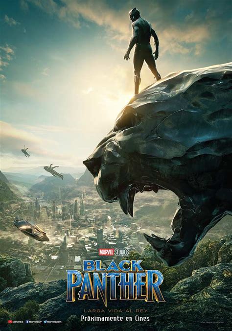 Black Panther Cartel De La Película 1 De 12 Teaser