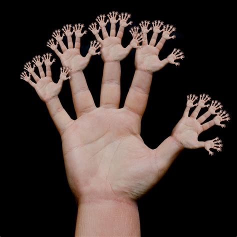 Sólo diez dedos