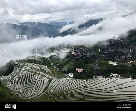 Longji Rice Terraces China Stock Photo Alamy