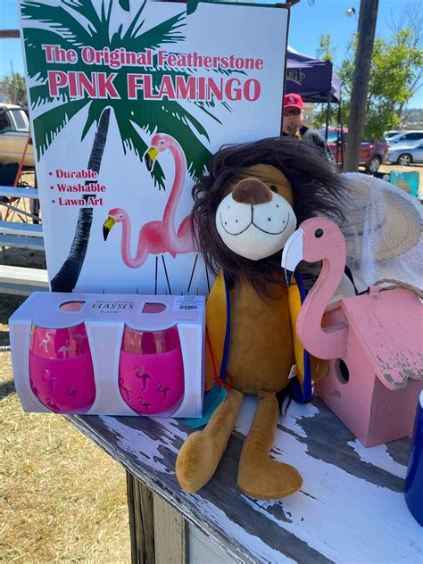 Meet Rory! He was found by a... - Lions Club of Anza Valley