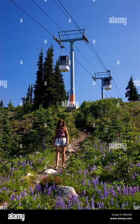 Hiking On The Paleface Trail Under The Whistler Village Gondola
