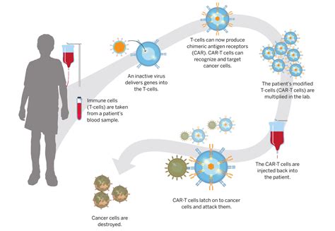 Partnership Aims To Accelerate Cell And Gene Therapy Worddisk