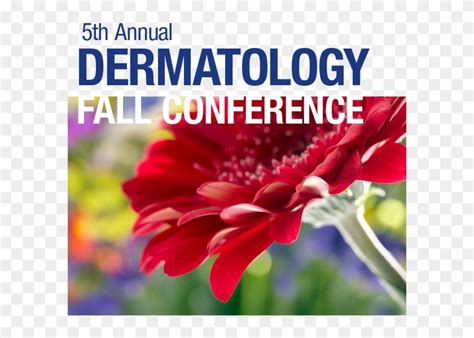 The mayo clinic artificial intelligence symposium aims to bring the health care #ai community together to share best practices and foster collaborations in digital health and why are bacteria in your gut so great for your health? Now In Its 5th Year, The Mayo Clinic Fall Dermatology - 早 ...