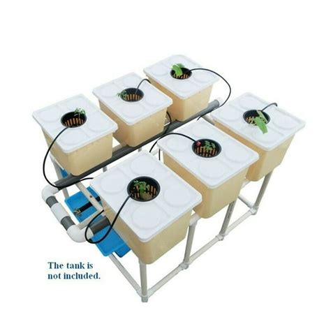 Intbuying Hydroponic Dutch Bato Bucket Grow System 6 Box Plant Site