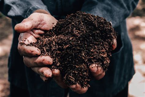 Soil Health Foundation For Food And Agriculture Research