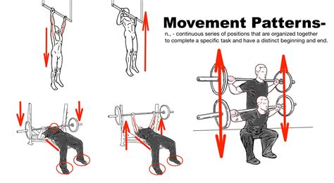 Movement Patterns Example In Exercises Squat Bench Press Pull