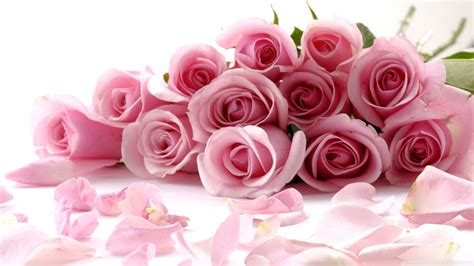 Download Lovely Pink Garden Rose Bouquet Wallpaper