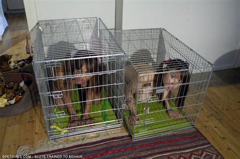 Petgirls In Kennels Imgur 0 Hot Sex Picture