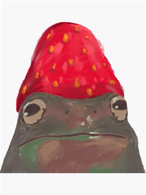 Raspberry Head Frog Sticker For Sale By Voidofwit Redbubble