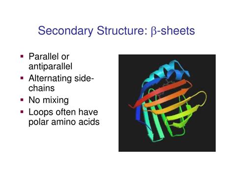 Ppt Protein Structure Powerpoint Presentation Free Download Id4519007