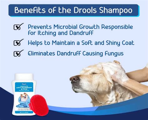 Buy Drools Combo Of Anti Dandruff And Itch Shampoo For Dogs Itp