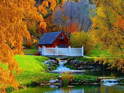 Houses Forest House Serenity Peaceful Stream Creek Branches Calm Autumn