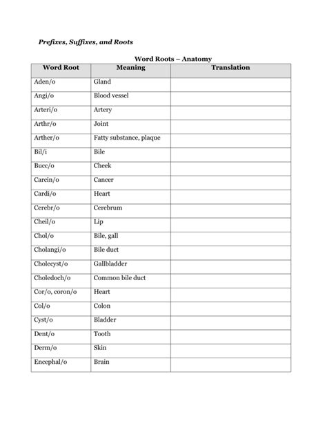 Anatomy Prefixes And Suffixes Anatomy Diagram Source