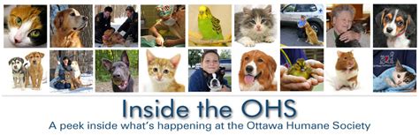 Ottawa Humane Society: July 2010