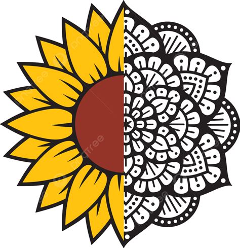 Sunflower Illustration Vector Art Png Sunflower Mandala Color Vector